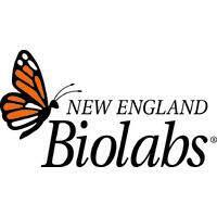New England Biolabs GmbH New England Biolabs GmbH