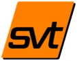 svt Holding GmbH svt Holding GmbH