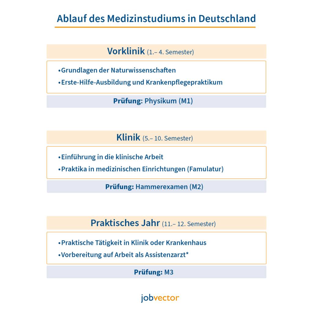 Ablauf des Medizinstudiums