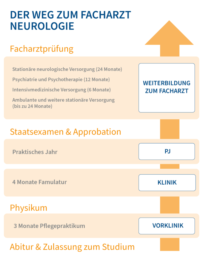 Der Weg zum Facharzt für Neurologie